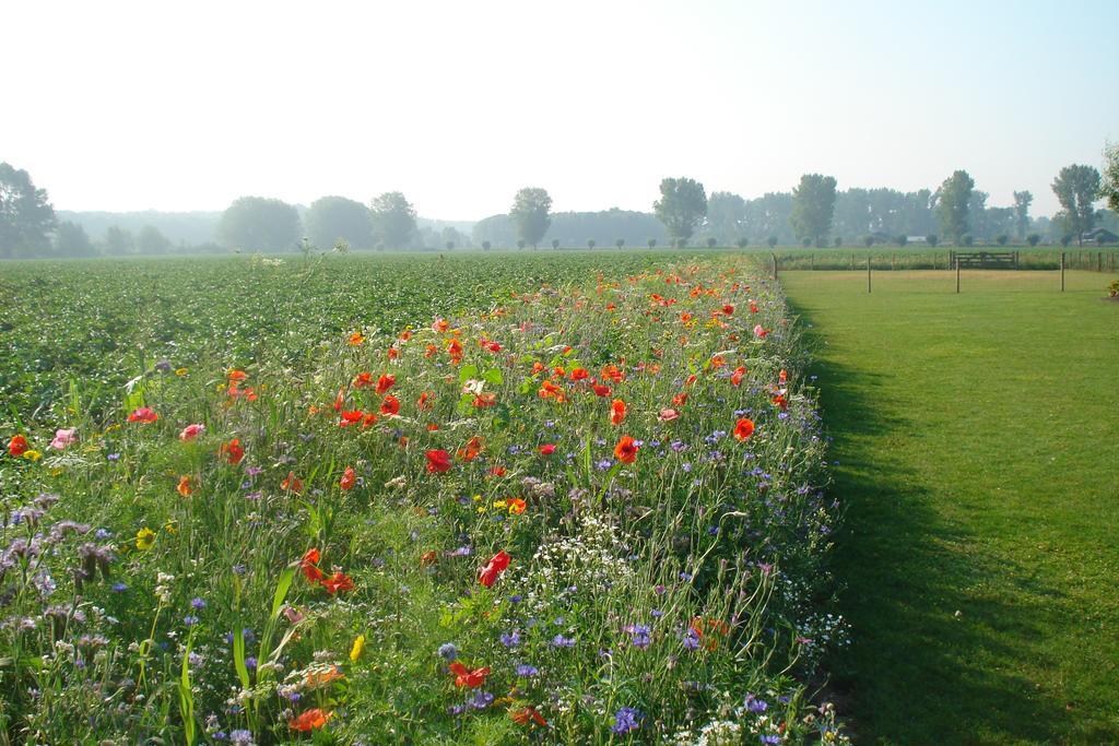 Lodgerie Het Groene Geheim Aparthotel
