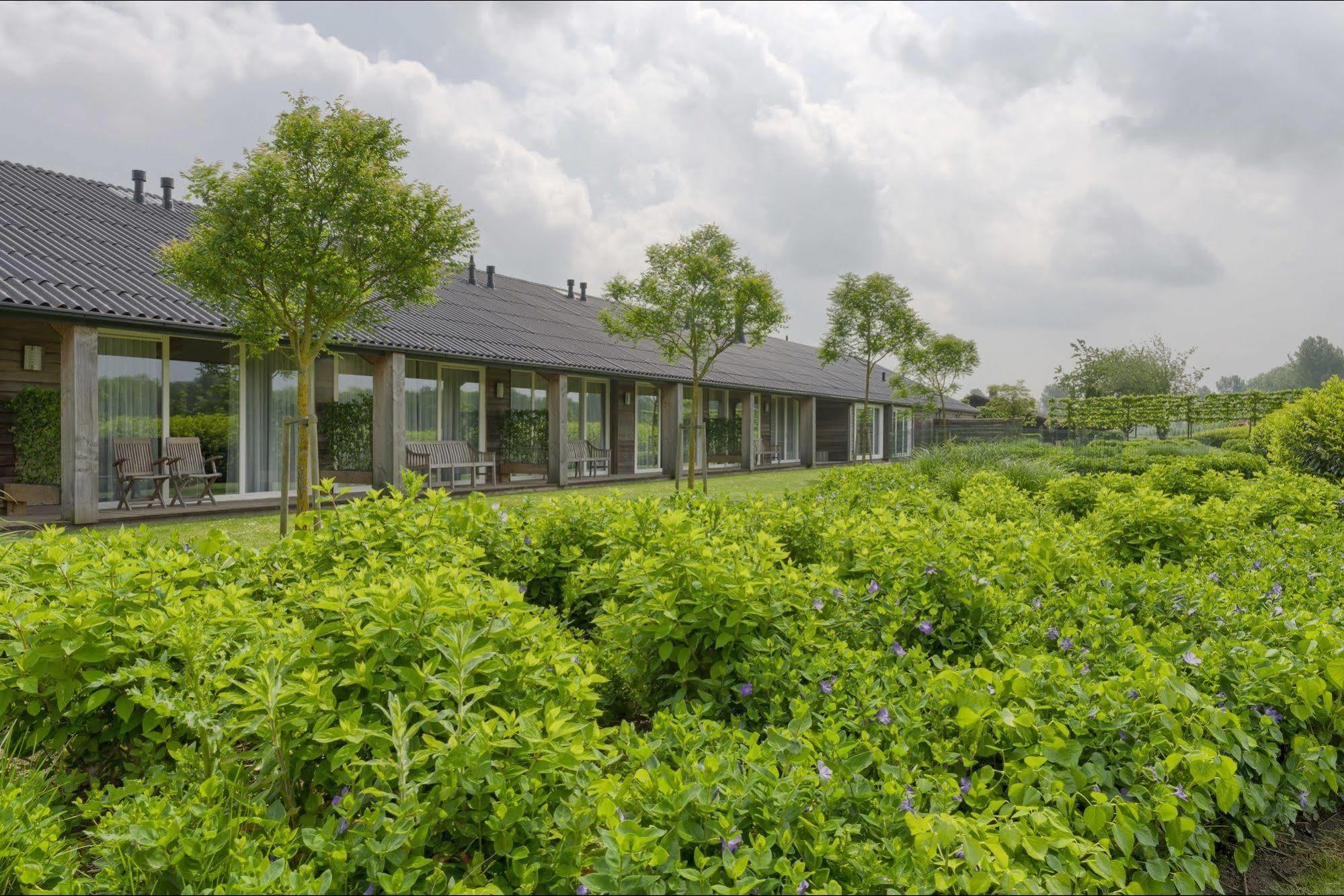 Lodgerie Het Groene Geheim 3*