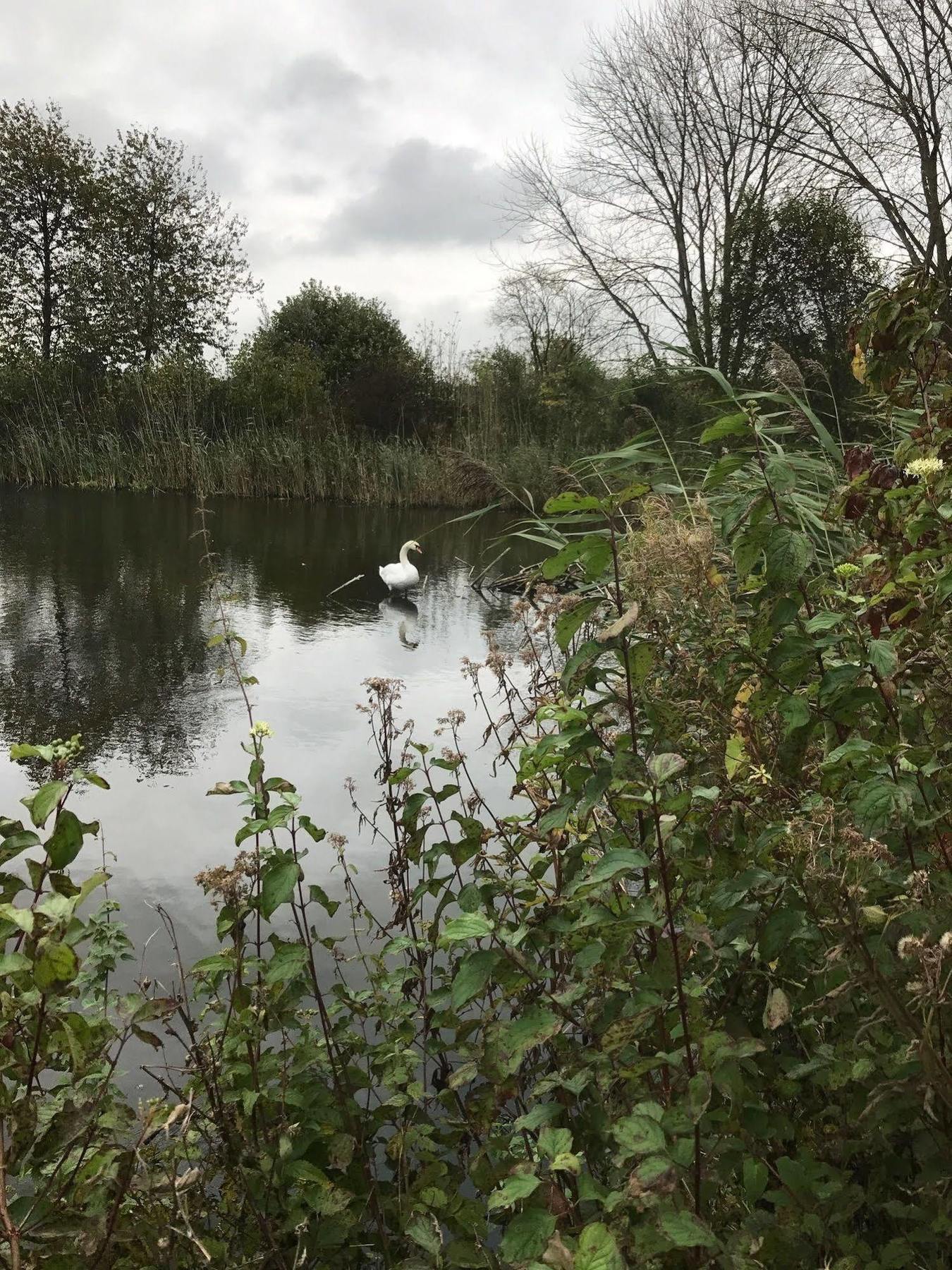 Lodgerie Het Groene Geheim Aparthotel Almere
