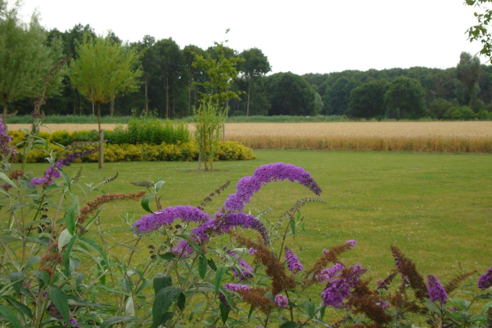Aparthotel Lodgerie Het Groene Geheim 3*
