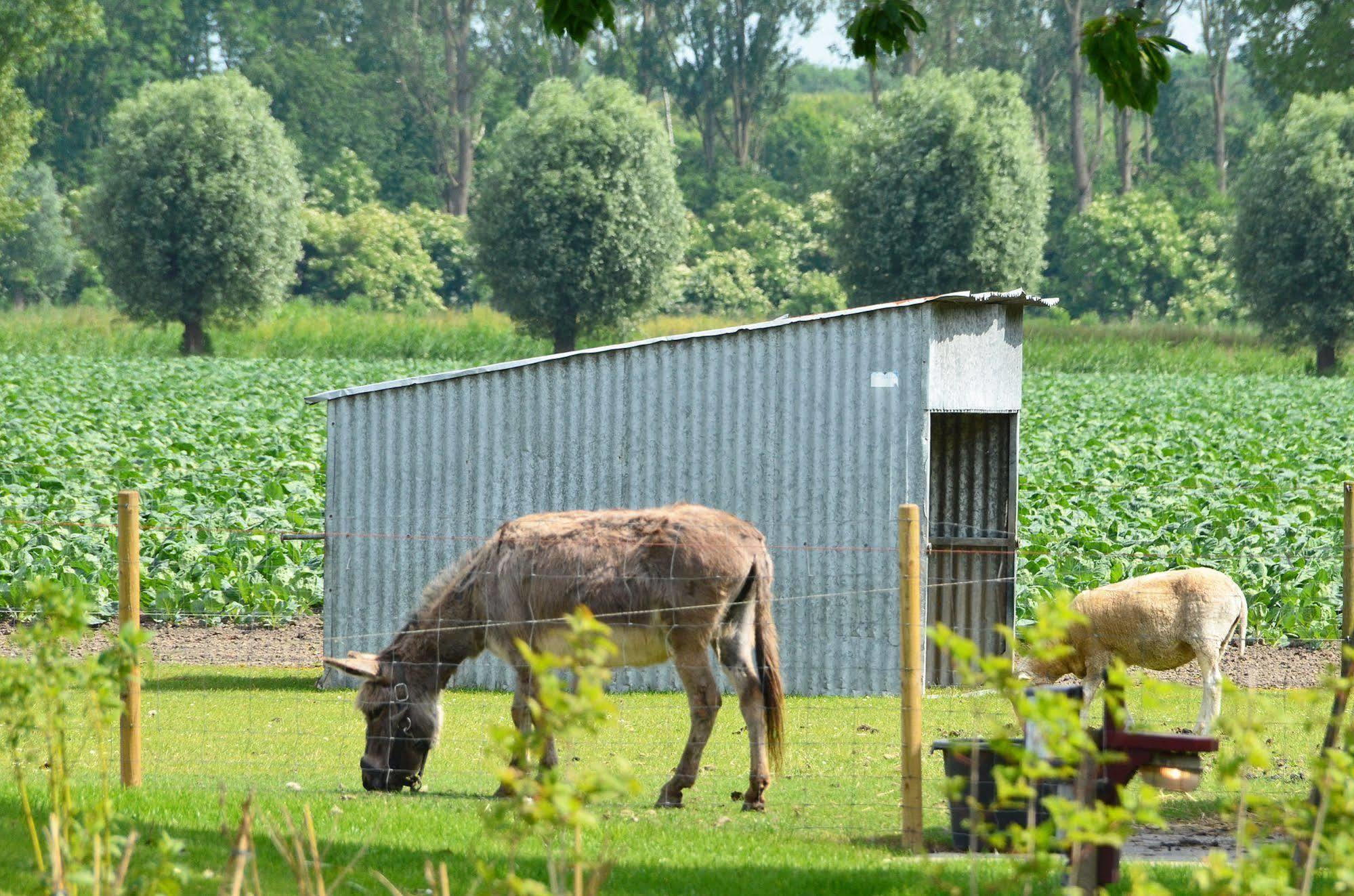 Lodgerie Het Groene Geheim Almere